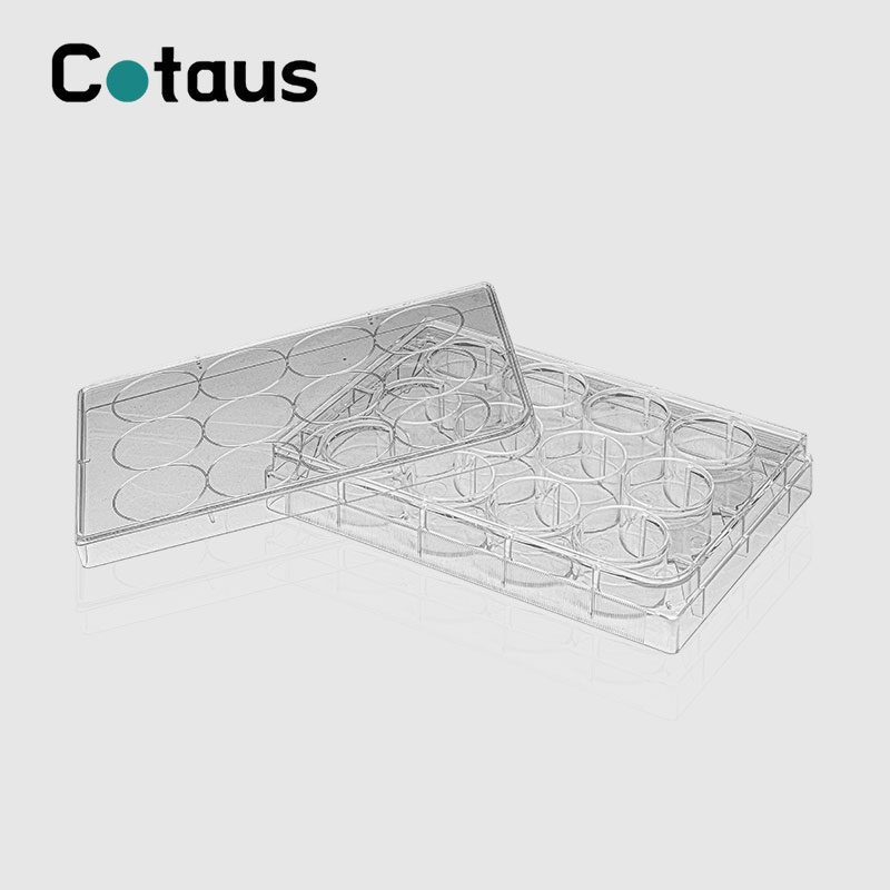 12 Chabwino Cell Culture Plate