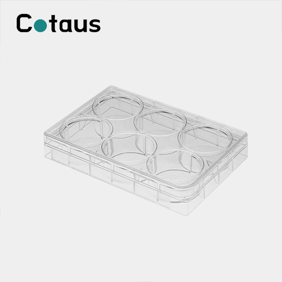 6 Chabwino Cell Culture Plate