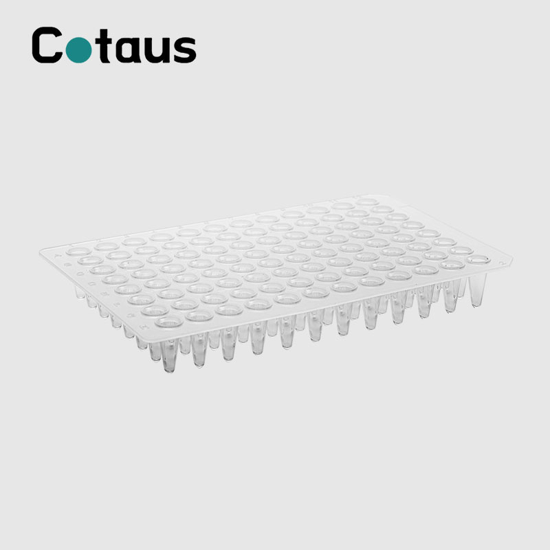 96 Chabwino 0.1ml Transparent No Skirt PCR Plate