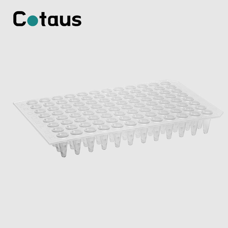 96 Chabwino 0.2ml Transparent No Skirt PCR Plate